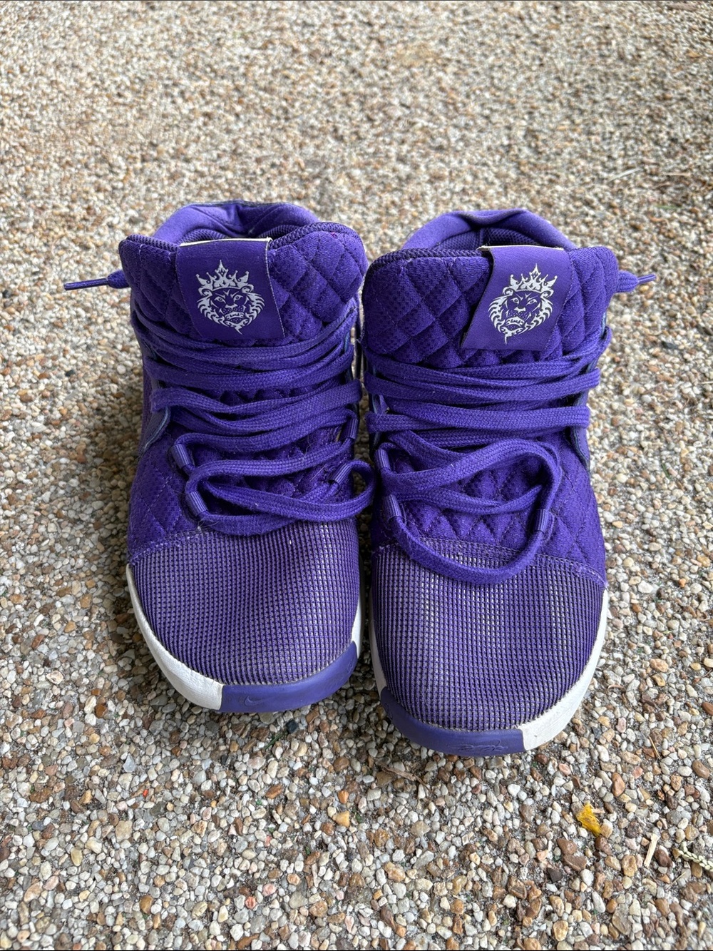 Nike LeBron James Purple High-Top Sneakers